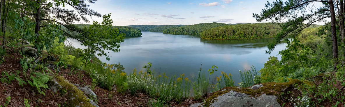 Exploring Nature's Paradise: A Guide to Forest Park, GA