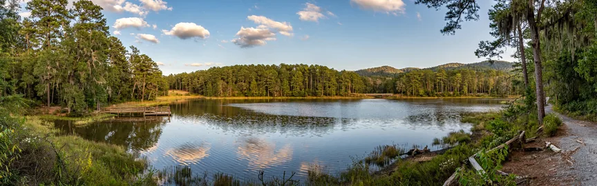 Family Fun in Forest Park, GA: Top Activities for Kids and Adults