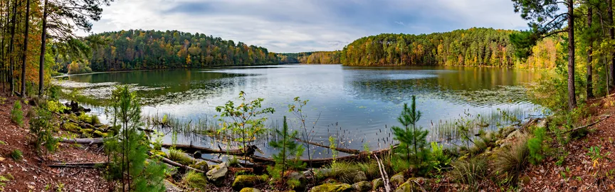 Hidden Gems of Forest Park, GA: Unveiling Local Favorites