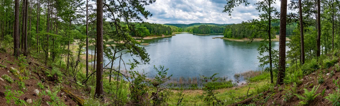 Tastes of Forest Park, GA: A Culinary Journey